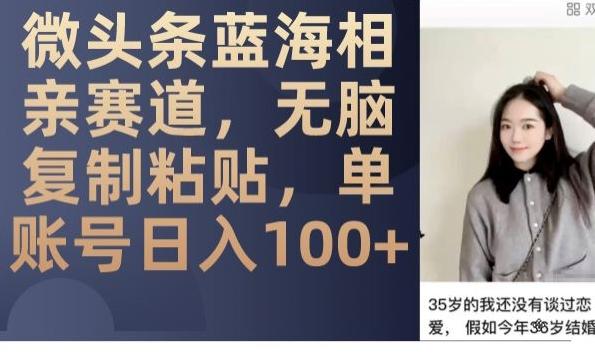微头条蓝海相亲赛道，无脑复制粘贴，单账号日入100+-网创资源