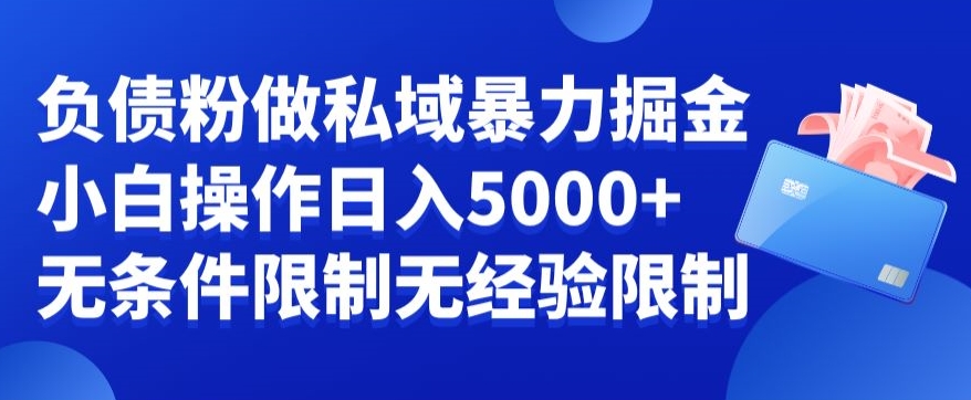 负债粉私域暴力掘金，小白操作入5000，无经验限制，无条件限制【揭秘】-网创资源