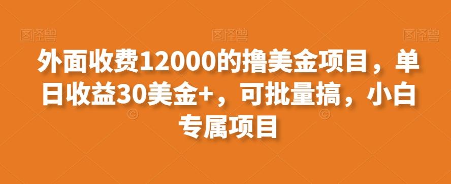 外面收费12000的撸美金项目，单日收益30美金+，可批量搞，小白专属项目-网创资源