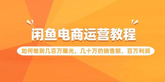 (9560期)闲鱼电商运营教程：如何做到几百万曝光，几十万的销售额，百万利润-网创资源