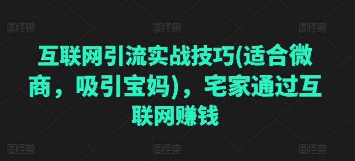 互联网引流实战技巧(适合微商，吸引宝妈)，宅家通过互联网赚钱-网创资源