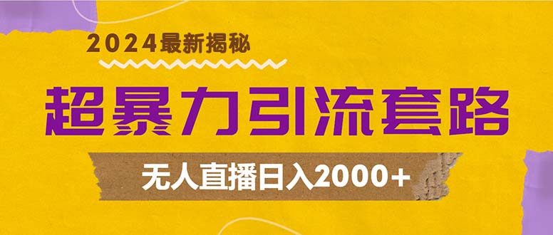 超暴力引流套路，无人直播日入2000+-网创资源