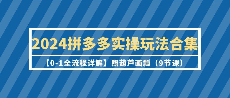 (9559期)2024拼多多实操玩法合集【0-1全流程详解】照葫芦画瓢(9节课)-网创资源