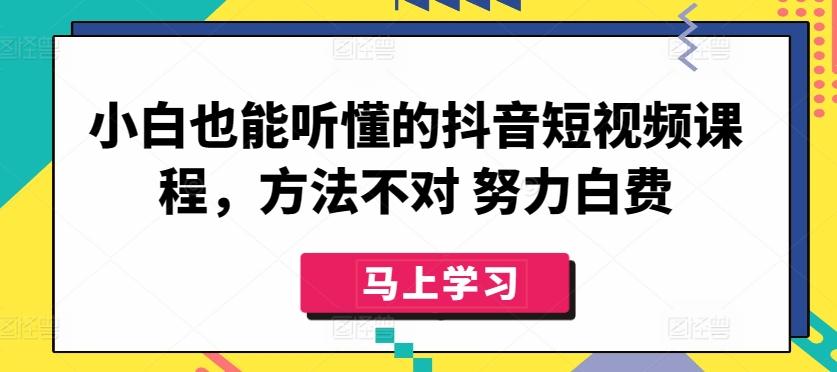 小白也能听懂的抖音短视频课程，方法不对 努力白费-网创资源
