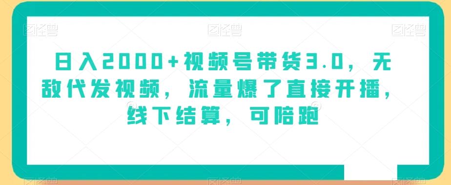 日入2000+视频号带货3.0，无敌代发视频，流量爆了直接开播，线下结算，可陪跑-网创资源