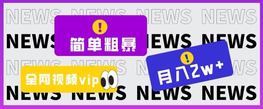 简单粗暴零成本，高回报，全网视频VIP掘金项目，月入2万＋【揭秘】-网创资源