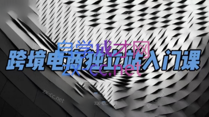 团长·跨境电商独立站入门课(2小时精华)-网创资源