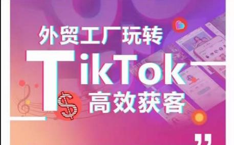外贸工厂玩转TikTok高效获客，多种引流方式与账号定位技巧，拆解爆款短视频打造成功案例-网创资源