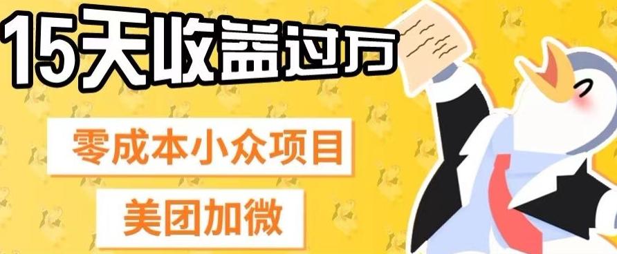 零成本小众项目，美团加微，一单4.5+，15天已经有人赚上万收益-网创资源