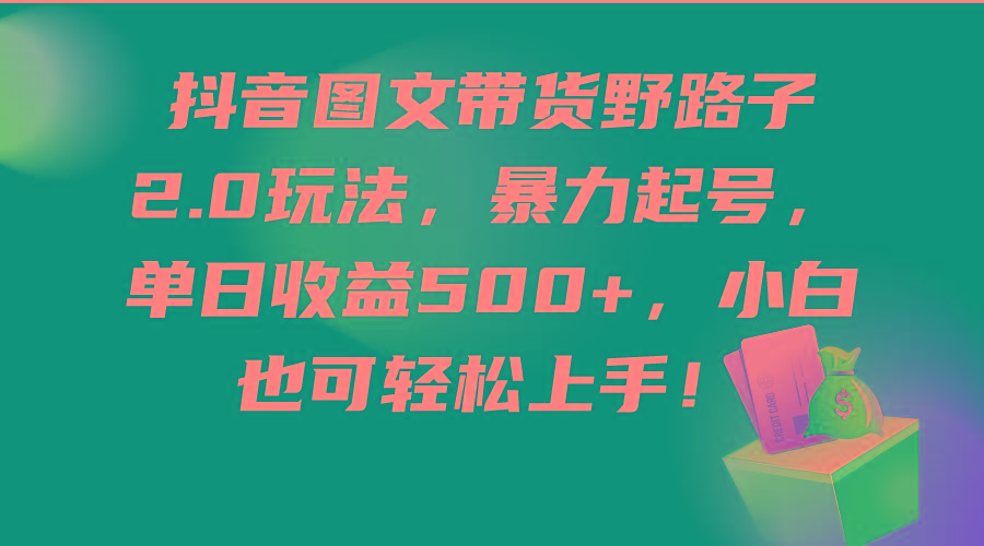 (9790期)抖音图文带货野路子2.0玩法，暴力起号，单日收益500+，小白也可轻松上手！-网创资源