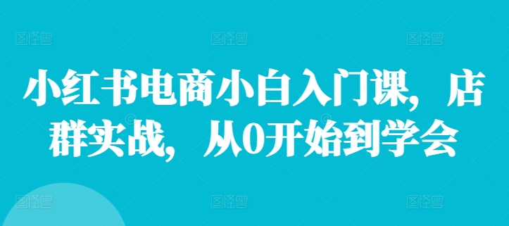 小红书电商小白入门课，店群实战，从0开始到学会-网创资源
