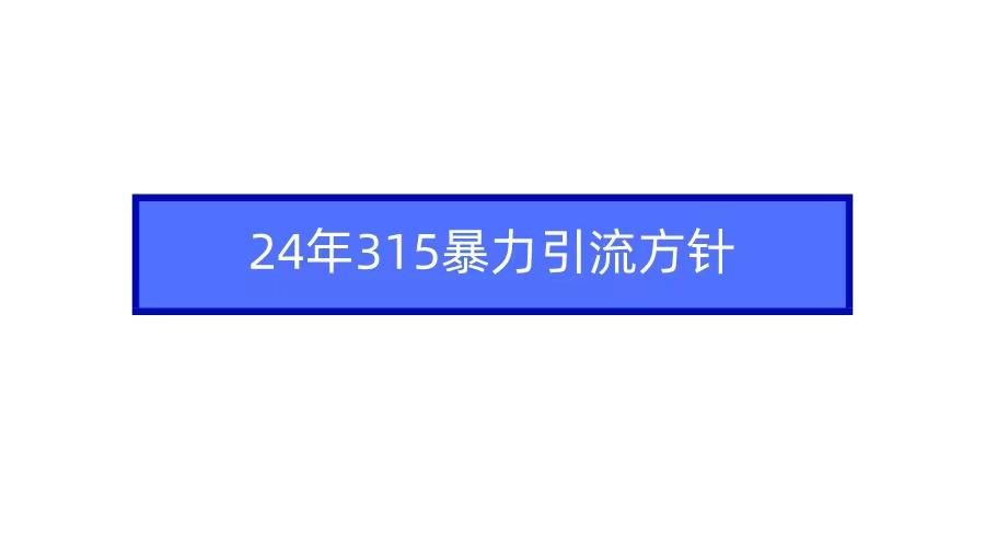 (9398期)2024年315暴力引流方针-网创资源