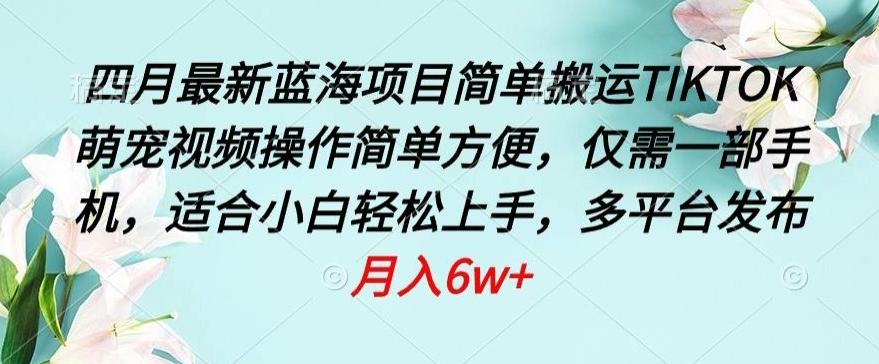 四月最新蓝海项目，简单搬运TIKTOK萌宠视频，操作简单方便，仅需一部手机【揭秘】-网创资源