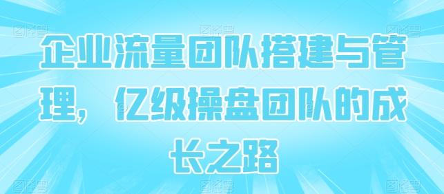 企业流量团队搭建与管理，亿级操盘团队的成长之路-网创资源