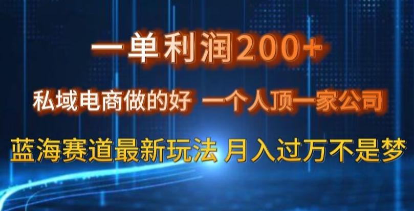 一单利润200私域电商做的好，一个人顶一家公司蓝海赛道最新玩法【揭秘】-网创资源