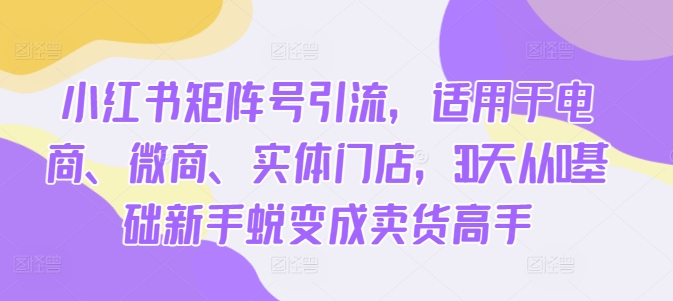 小红书矩阵号引流，适用于电商、微商、实体门店，30天从0基础新手蜕变成卖货高手-网创资源