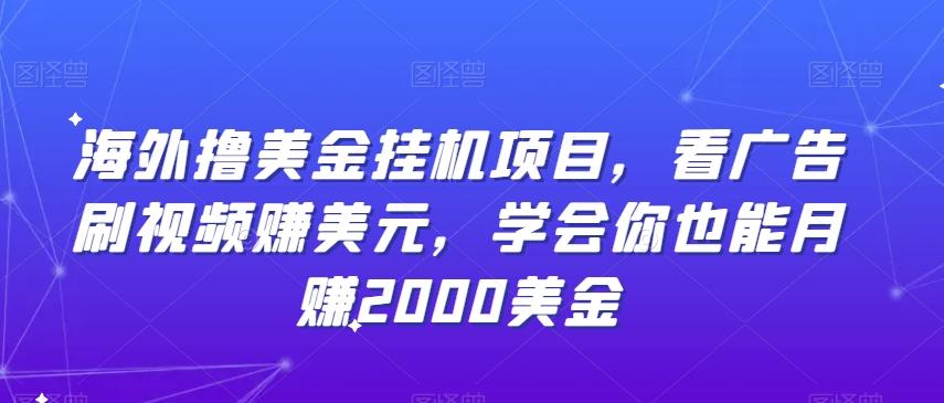 海外撸美金挂机项目，看广告刷视频赚美元，学会你也能月赚2000美金-网创资源