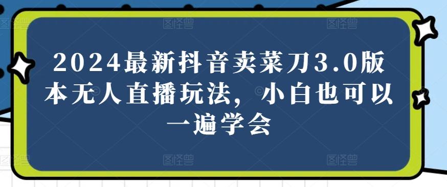 2024最新抖音卖菜刀3.0版本无人直播玩法，小白也可以一遍学会【揭秘】-网创资源