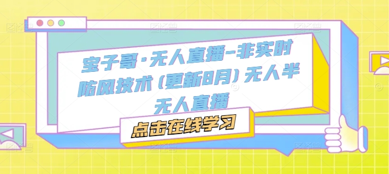 宝子哥·无人直播-非实时防风技术(更新8月)无人半无人直播-网创资源
