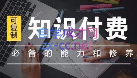 君哥·IP合伙人知识付费虚拟项目(更新24年6月)-网创资源