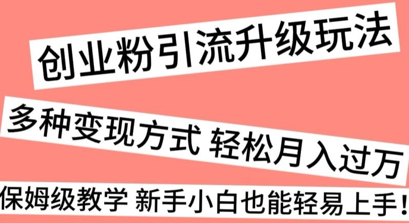创业粉引流升级玩法，多种变现方式轻松月入过万，保姆级教学新手小白也能轻易上手！-网创资源