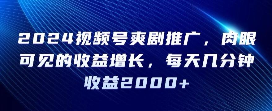2024视频号爽剧推广，肉眼可见的收益增长，每天几分钟收益2000+【揭秘】-网创资源