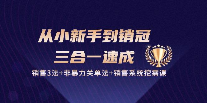 从小新手到销冠 三合一速成：销售3法+非暴力关单法+销售系统挖需课 (27节-网创资源