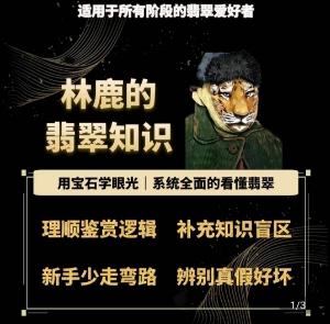 林鹿的翡翠知识，​用宝石眼光，系统全面的看懂翡翠-网创资源
