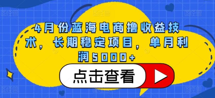 4月份蓝海电商撸收益技术，长期稳定项目，单月利润5000+【揭秘】-网创资源