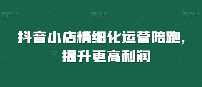 抖音小店精细化运营陪跑，提升更高利润-网创资源