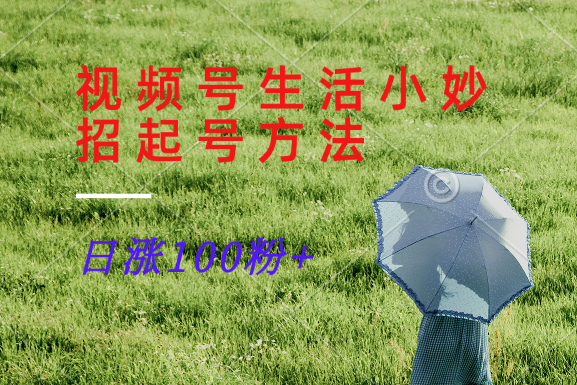 视频号生活小妙招分享赛道， 起号涨粉新方法，日涨100粉-网创资源