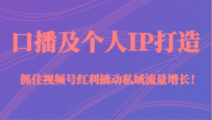 口播及个人IP打造，抓住视频号红利撬动私域流量增长！（45节课）-网创资源