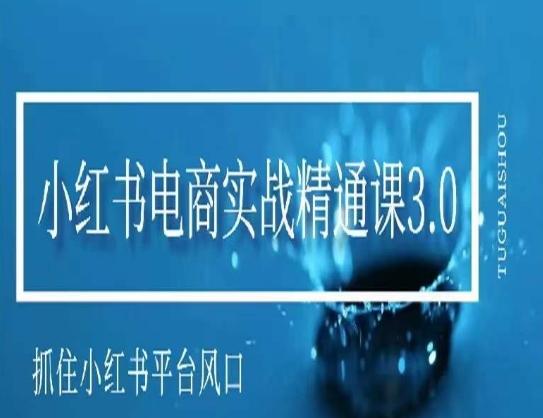小红书电商实战精通课3.0，抓住小红书平台的风口，不错过有一个赚钱的机会-网创资源