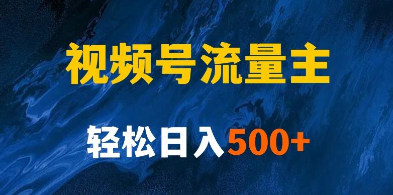 揭秘视频号创作者分成计划，带你玩赚视频号流量主！新手也能月入1w+-网创资源