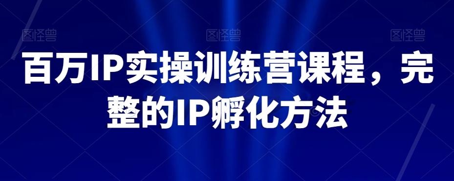 百万IP实操训练营课程，完整的IP孵化方法-网创资源