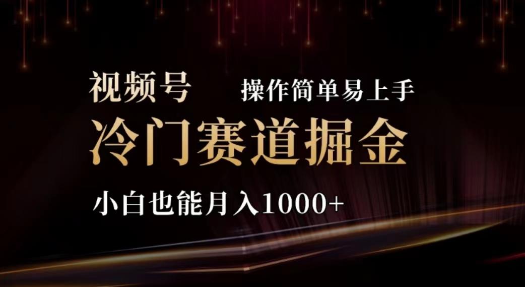 2024视频号冷门赛道掘金，操作简单轻松上手，小白也能月入1000+-网创资源