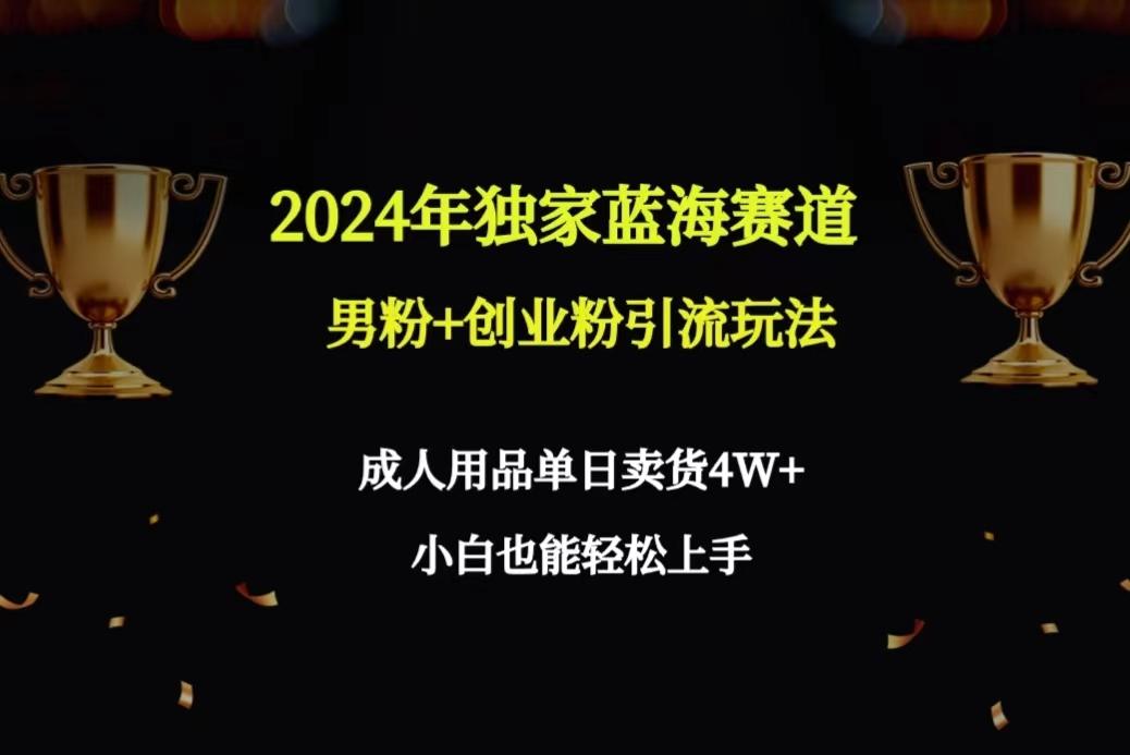 2024年独家蓝海赛道男粉+创业粉引流玩法，成人用品单日卖货4W+保姆教程-网创资源