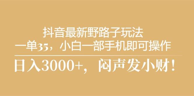 抖音最新野路子玩法，一单35，小白一部手机即可操作，，日入3000+，闷…-网创资源