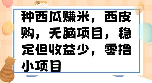 种西瓜赚米，西皮购稳定长久零撸小项目-网创资源