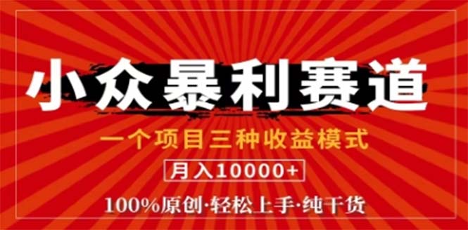 视频号最新爆火赛道，三种可收益模式，0粉新号条条原创条条热门 日入1000+-网创资源