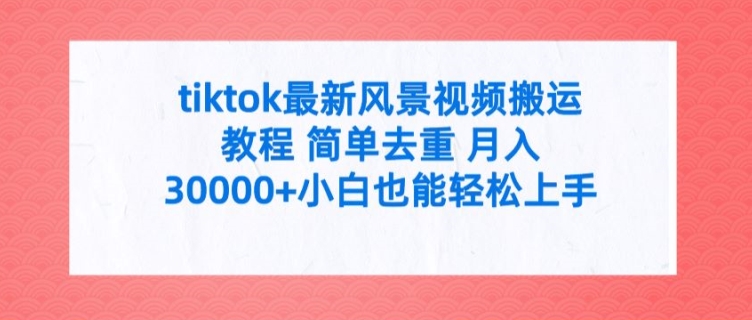 tiktok最新风景视频搬运教程 简单去重 月入3W+小白也能轻松上手【揭秘】-网创资源