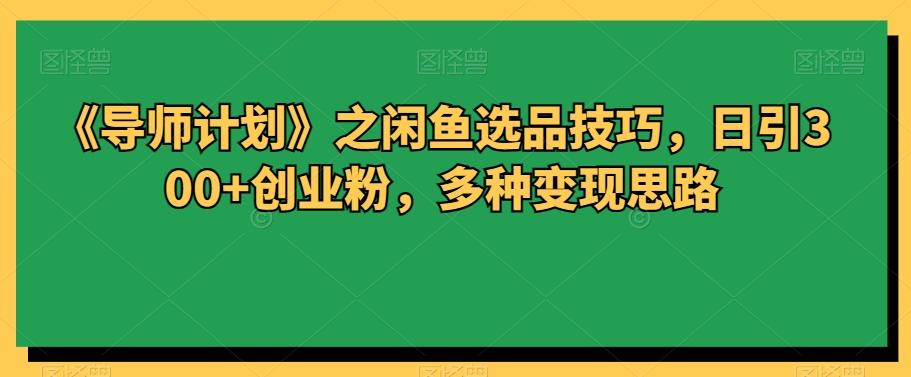 《导师计划》之闲鱼选品技巧，日引300+创业粉，多种变现思路-网创资源