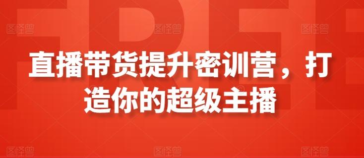 直播带货提升密训营，打造你的超级主播-网创资源