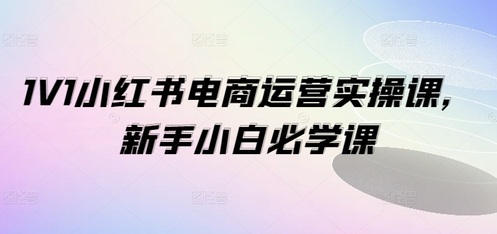 1V1小红书电商运营实操课，新手小白必学课-网创资源