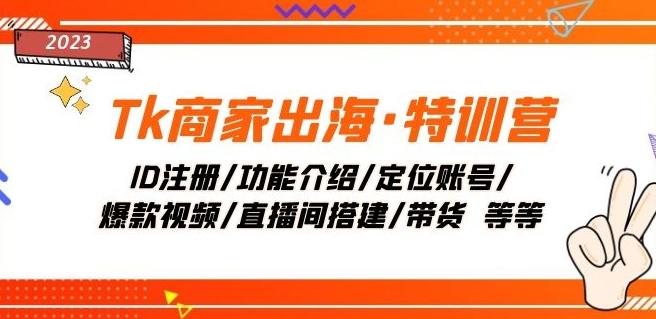 Tk商家出海·特训营：ID注册/功能介绍/定位账号/爆款视频/直播间搭建/带货-网创资源