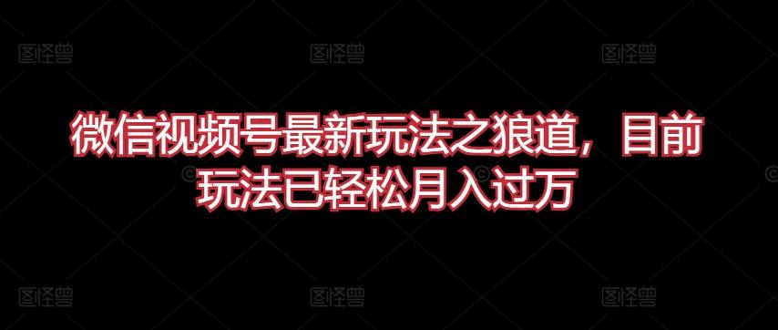 微信视频号最新玩法之狼道，目前玩法已轻松月入过万【揭秘】-网创资源
