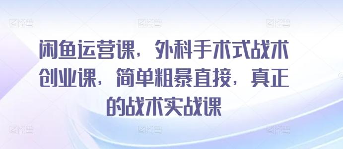 闲鱼运营课，外科手术式战术创业课，简单粗暴直接，真正的战术实战课-网创资源