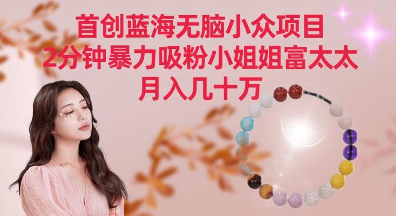 首创蓝海无脑小众项目，2分钟暴力吸粉小姐姐富太太，月入几十万【揭秘】-网创资源
