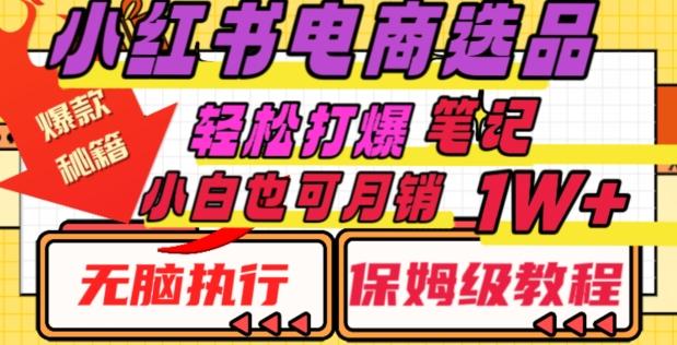 小红书电商爆款选品秘籍，帮你轻松打爆笔记，小白也可轻松月销10000+-网创资源