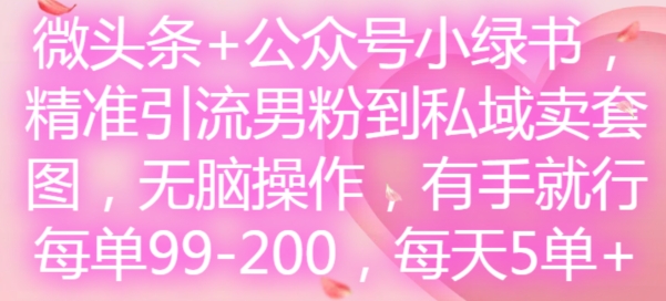 微头条+公众号小绿书，精准引流男粉到私域卖套图，无脑操作，有手就行，每单99-200，每天5单-网创资源